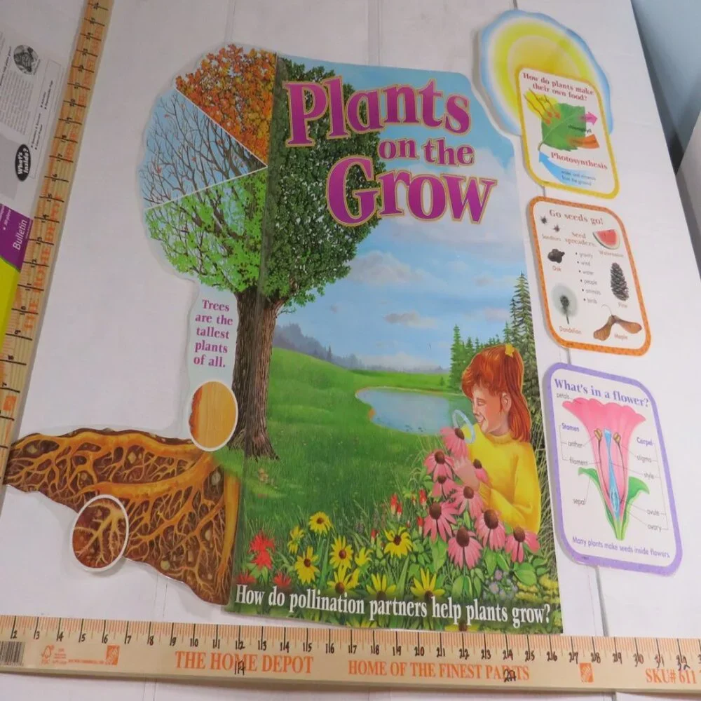 Plants on the Grow Extra Large BULLETIN BOARD SET LAMINATED  Classroom Posters